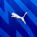 Camisa Palmeiras Goleiro Azul 2024/25